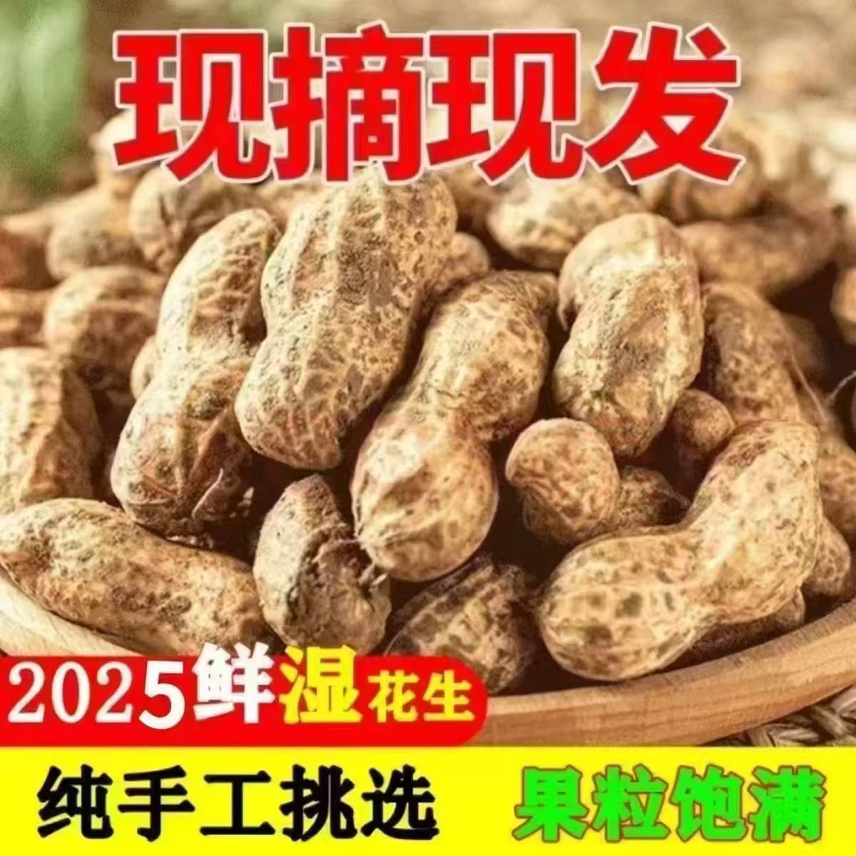 新鲜现挖带壳湿花生农家自种粉皮嫩花生