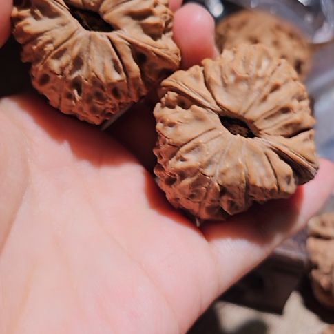 吊坠文玩核桃46大肚大团圆