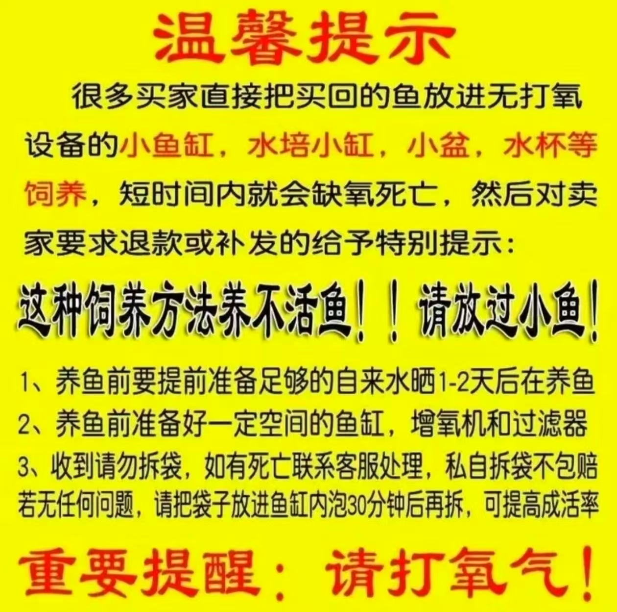 901-1000号普身蝴蝶鲤各色锦鲤