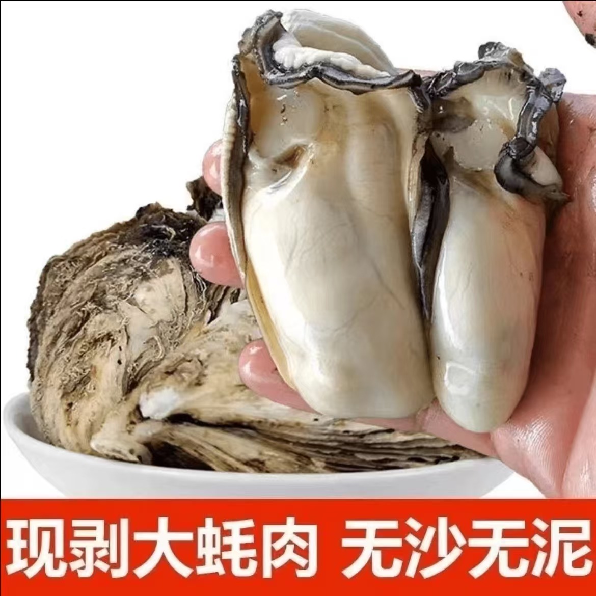 【蚝友记】大个头原浆生蚝肉（每盒5-8只） 每日现剥 250g/盒 7盒