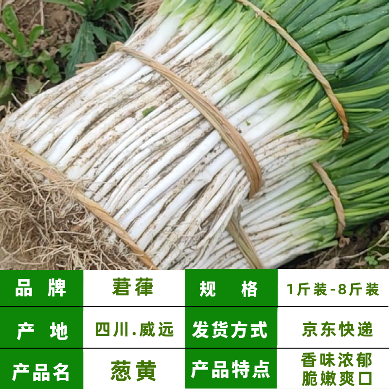 【莙葎香葱黄 送货上门】新鲜现挖现发蔬菜香葱黄非大葱黄0.5-8斤