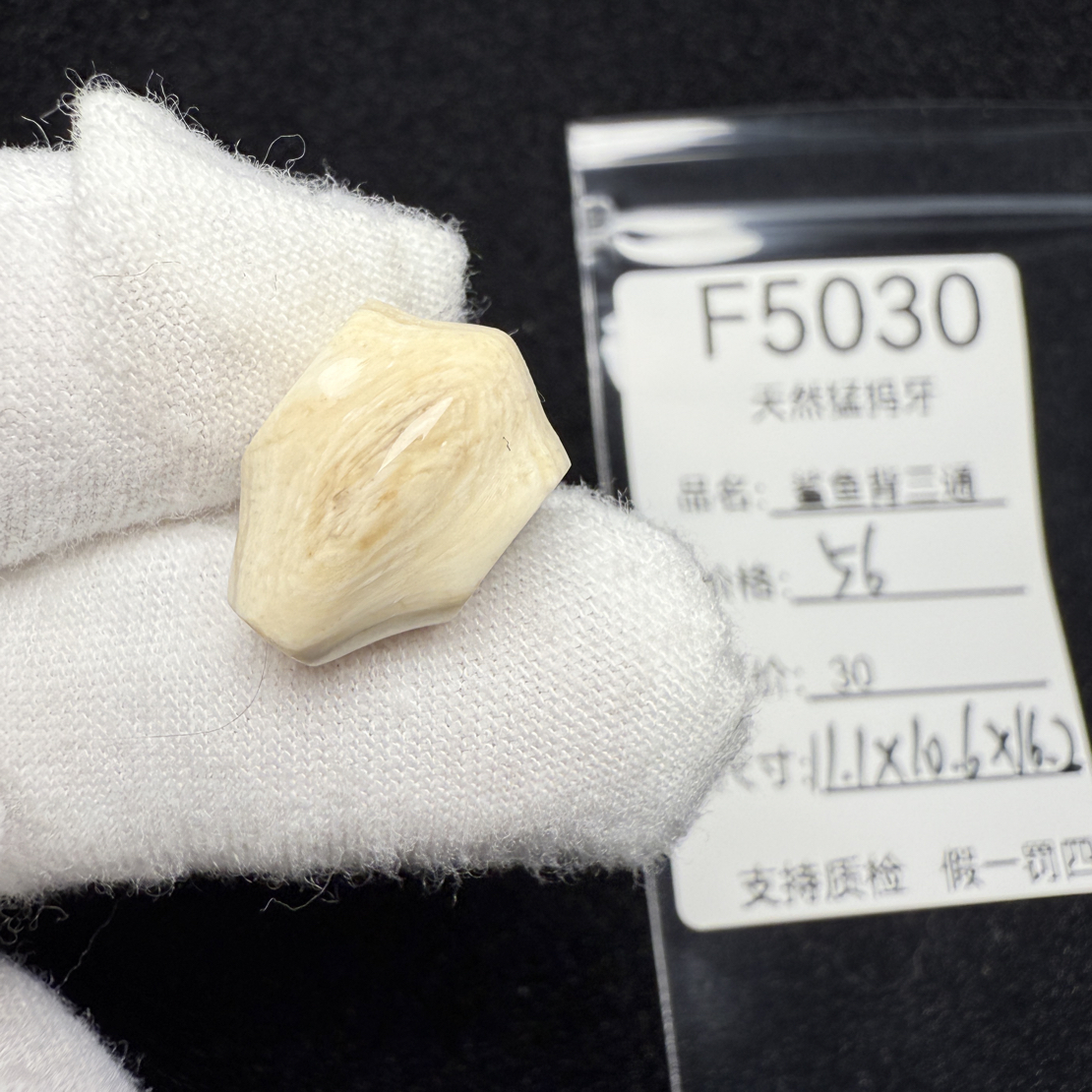 F5030猛犸象牙鲨鱼背一体三通冰料果冻料11.1*10.6*16.2mm
