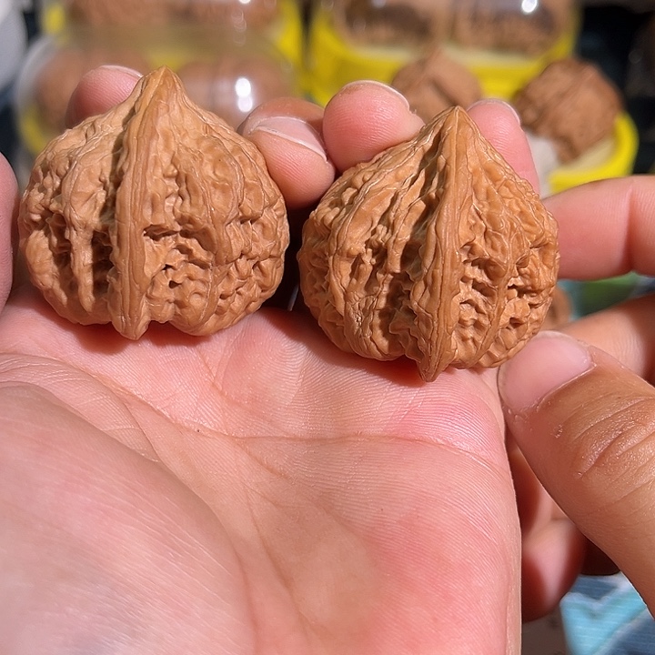 核桃老树红皮火焰马蹄42