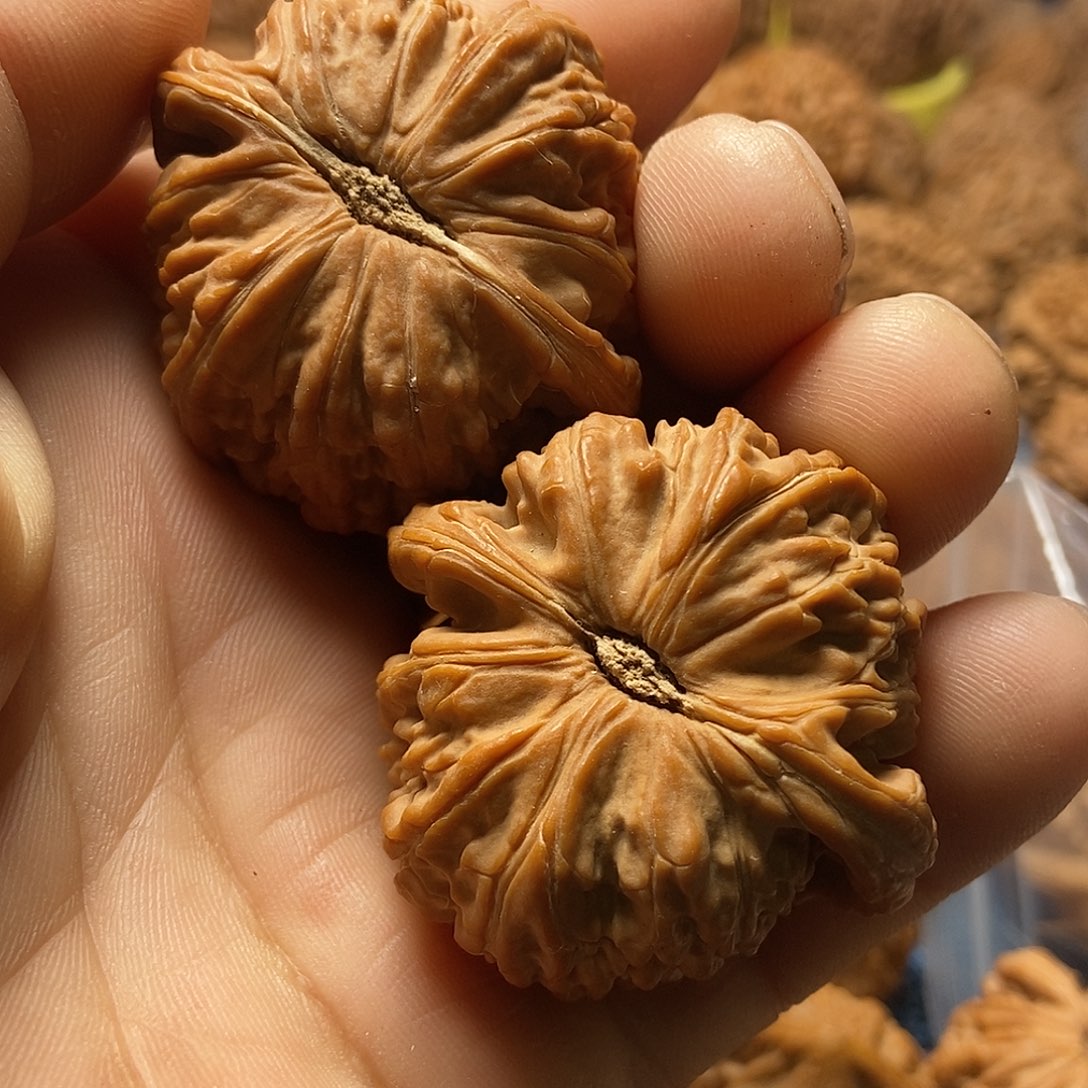 L***_把件文玩核桃白狮子