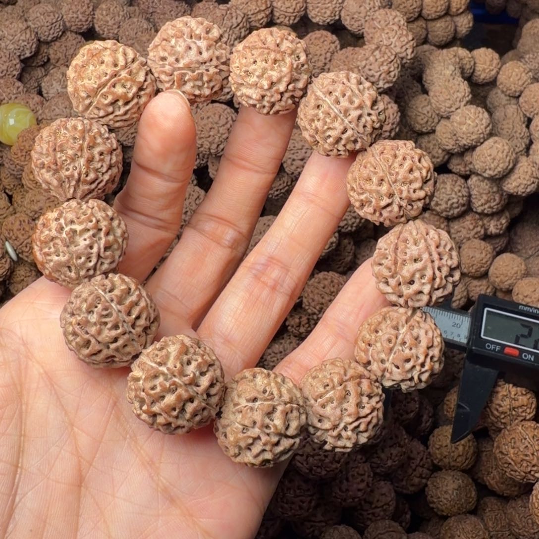 金刚菩提手串8瓣卡20尺，49号