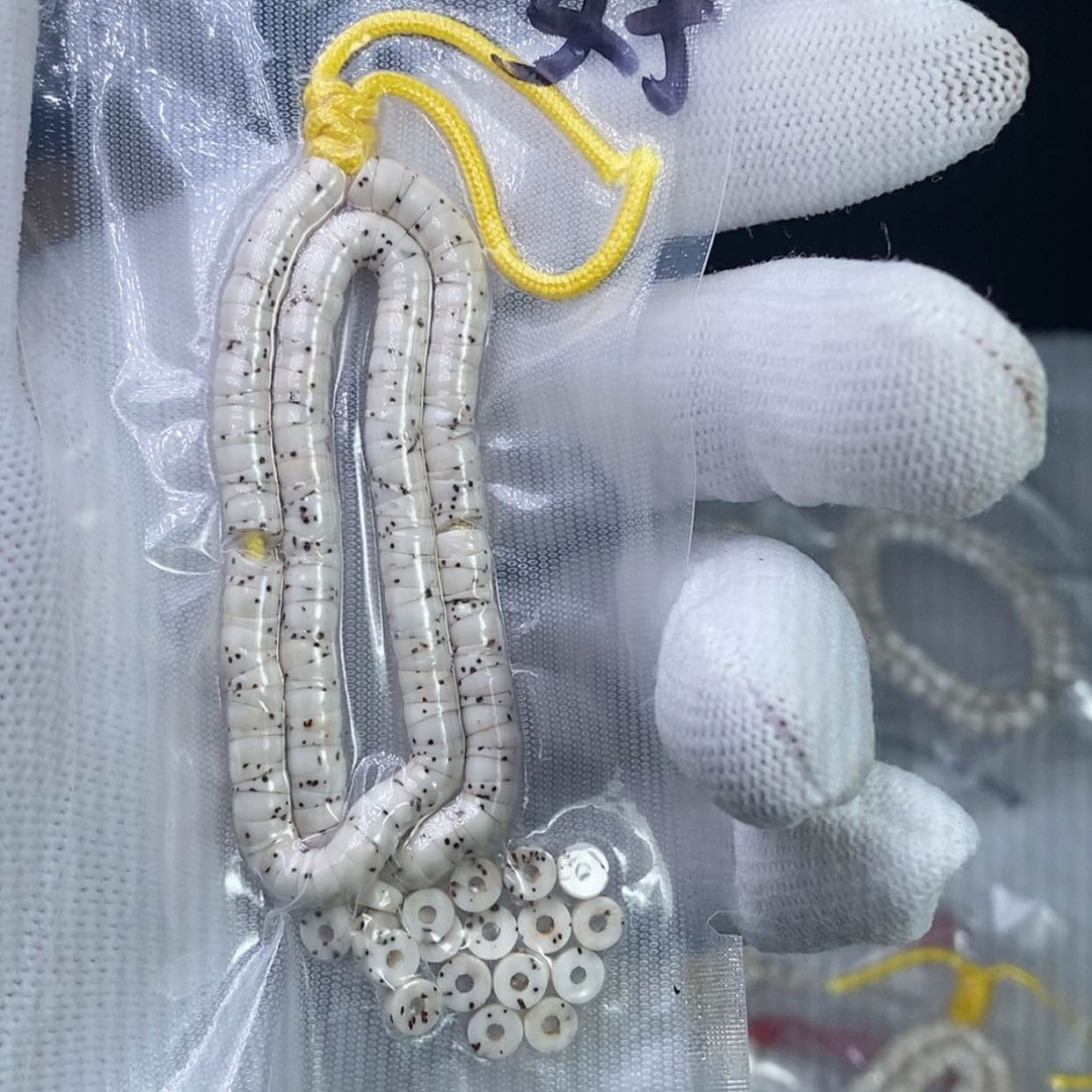 【闪购商品】星月菩提手串枫*卡5原生态数星星大肠