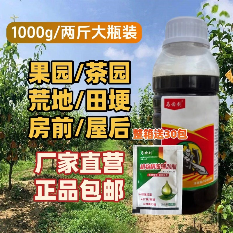 马齿剑果园茶园田埂房前屋后道路通用搭配方便厂家包邮有机质