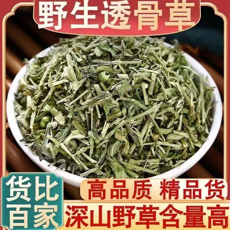 正宗野生透骨草精选无硫透骨草干货中药材正品新货泡水泡茶
