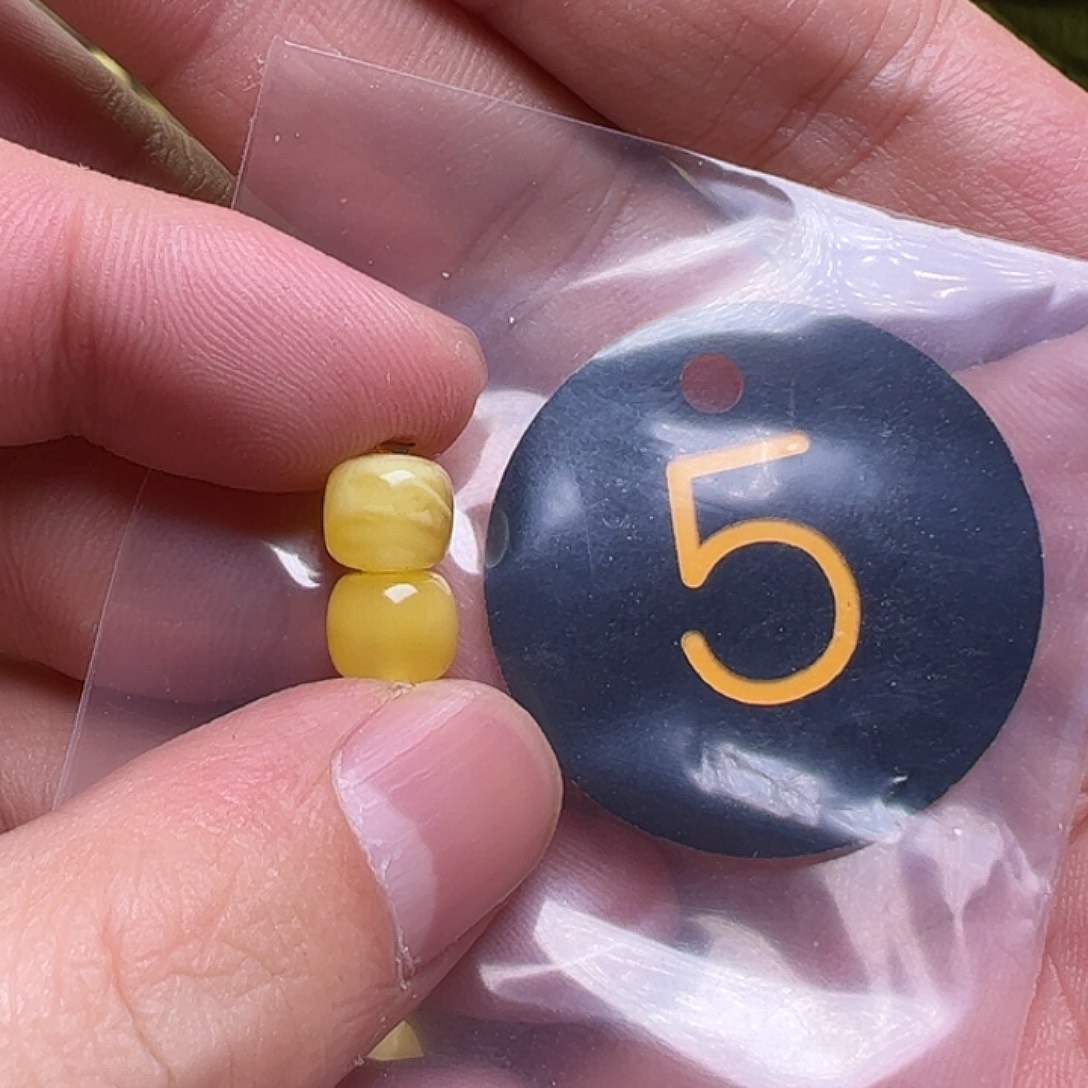 蜜蜡未镶嵌珠宝奇石向*走8mm