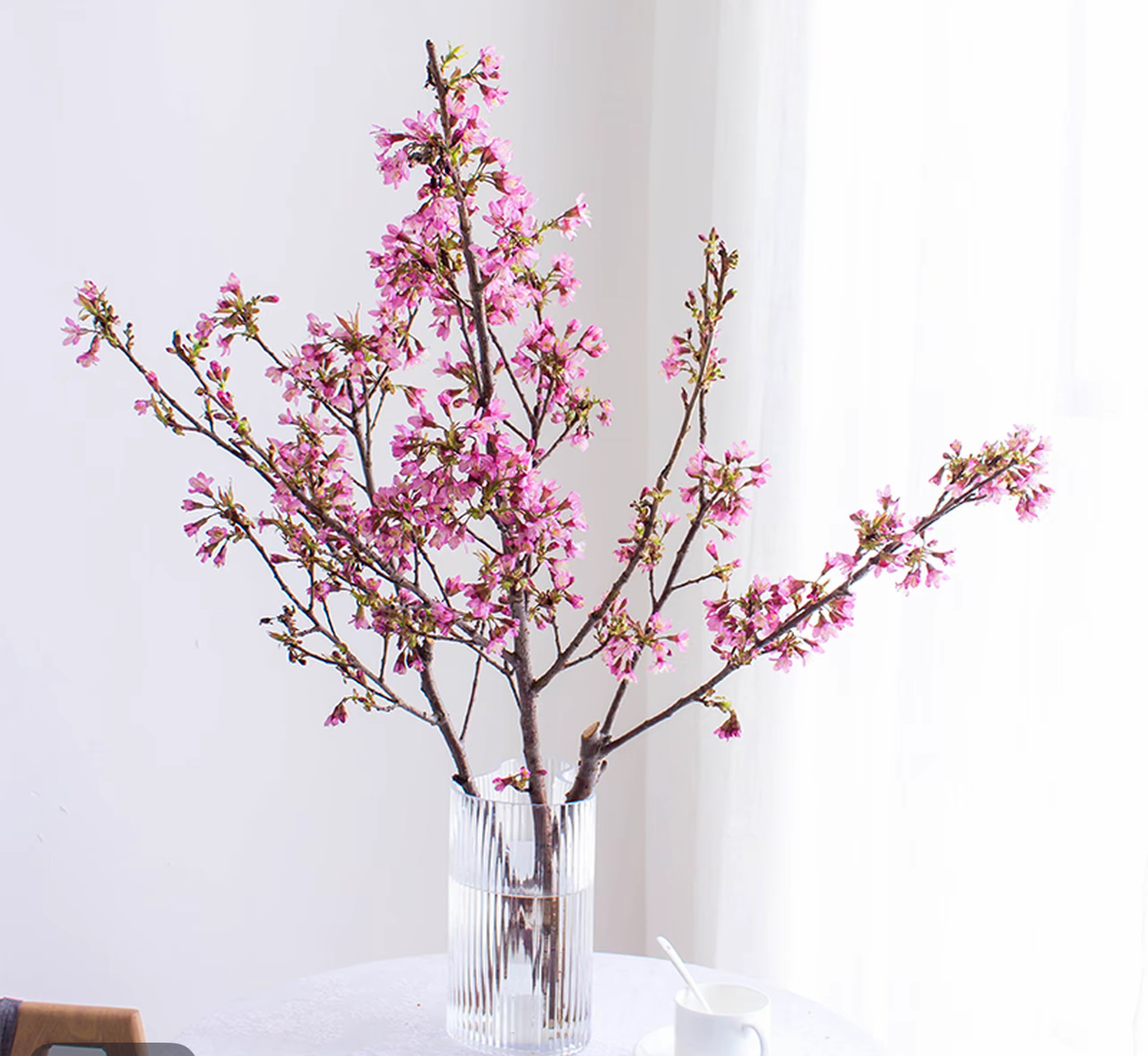 云南直发冬樱花|鲜枝水培插花带花苞粉色单瓣真花