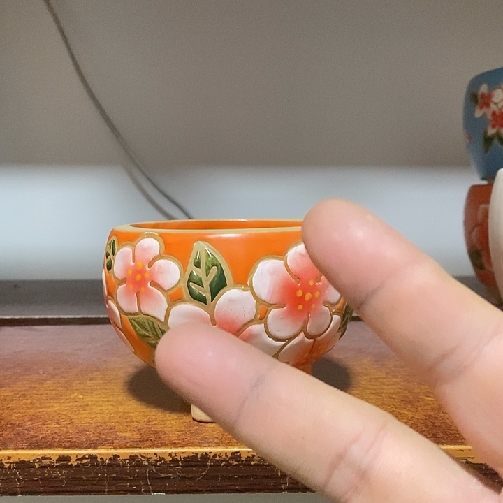 韩式多肉植物花盆