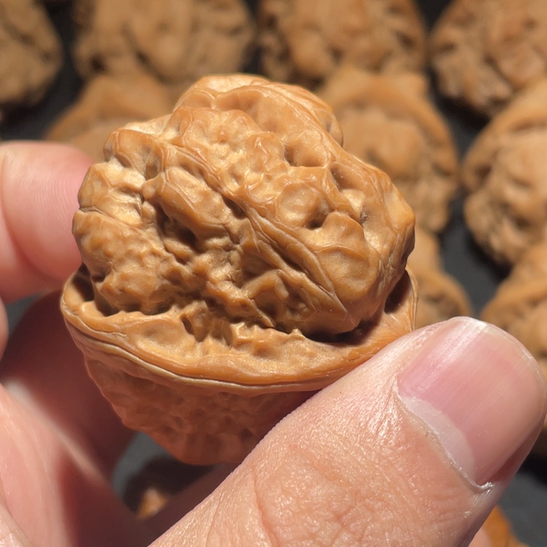 核桃手串/手链38+尺寸 肌肉蛙