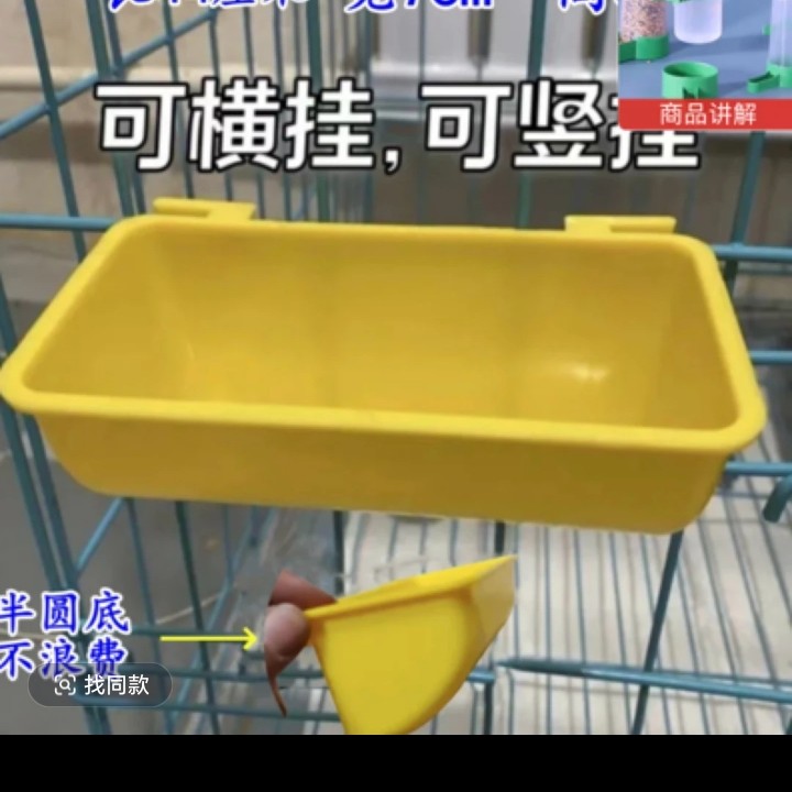 水盒食盒无盖防溅鸽子用品用具多用盒(颜色随机)