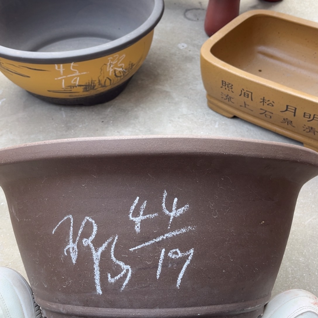 紫砂花盆盆景艺术