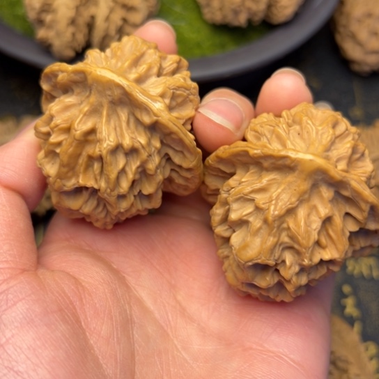 文玩核桃把件秦岭核桃15