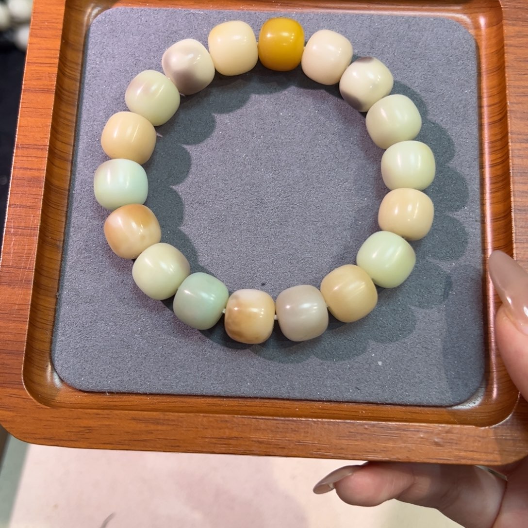 吊坠菩提根/象牙果柏林花事卡14