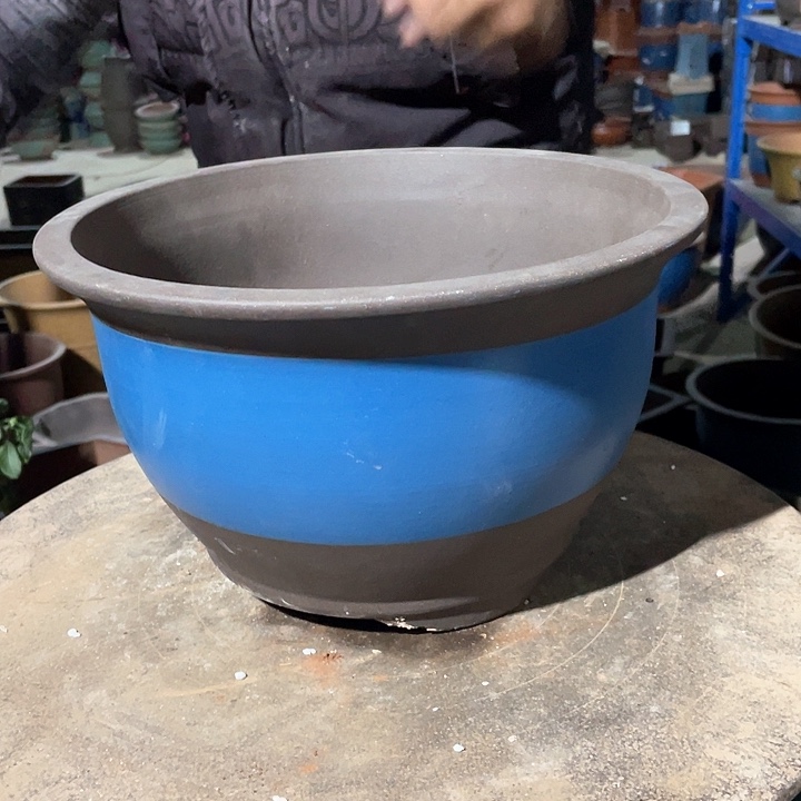 紫砂30蓝色牡丹花
