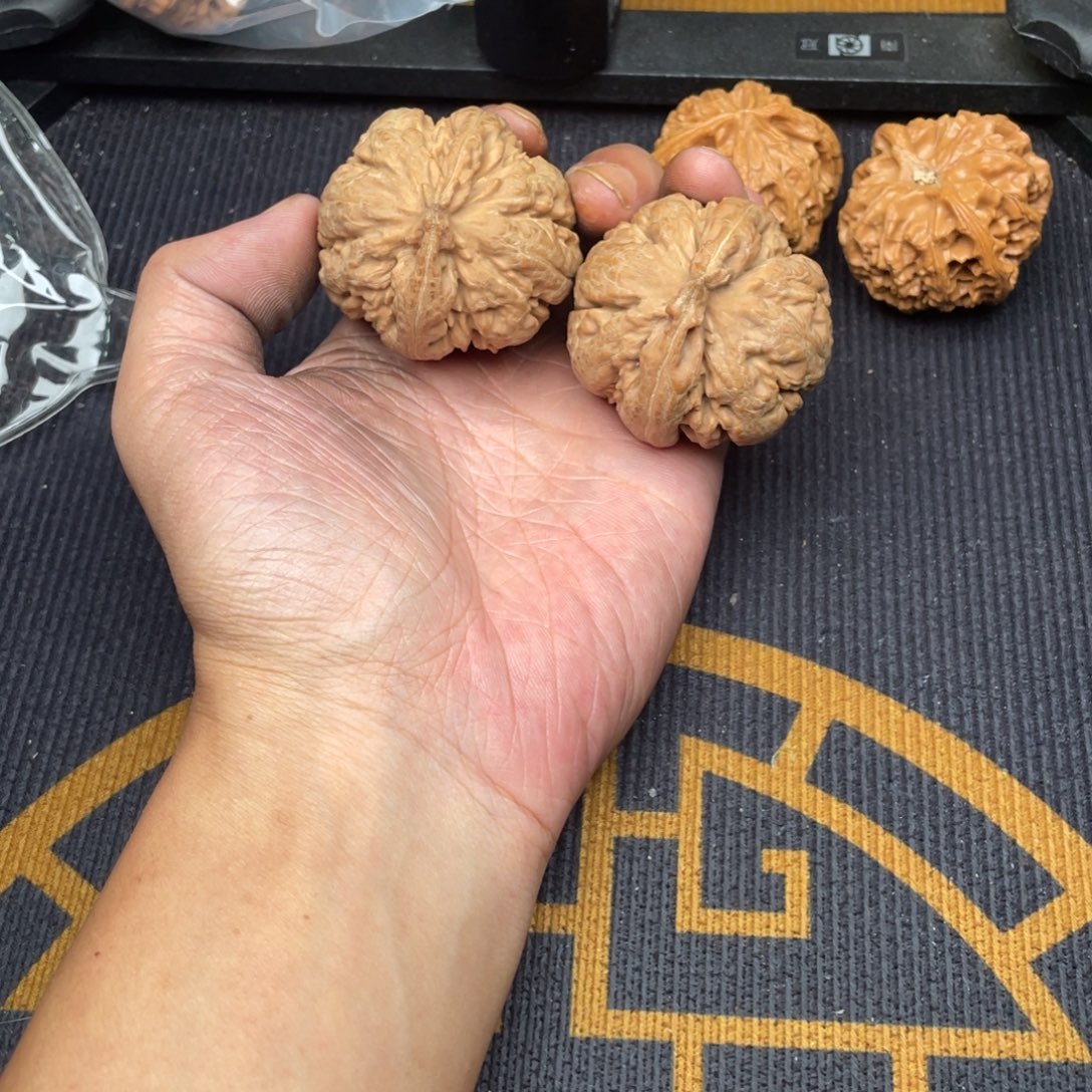 *****文玩核桃吊坠霸王龙