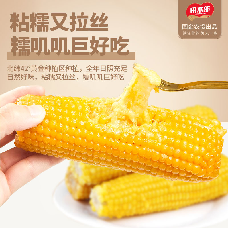 10支东北黄糯玉米25年新试吃2根真空包早餐速食食品上班族