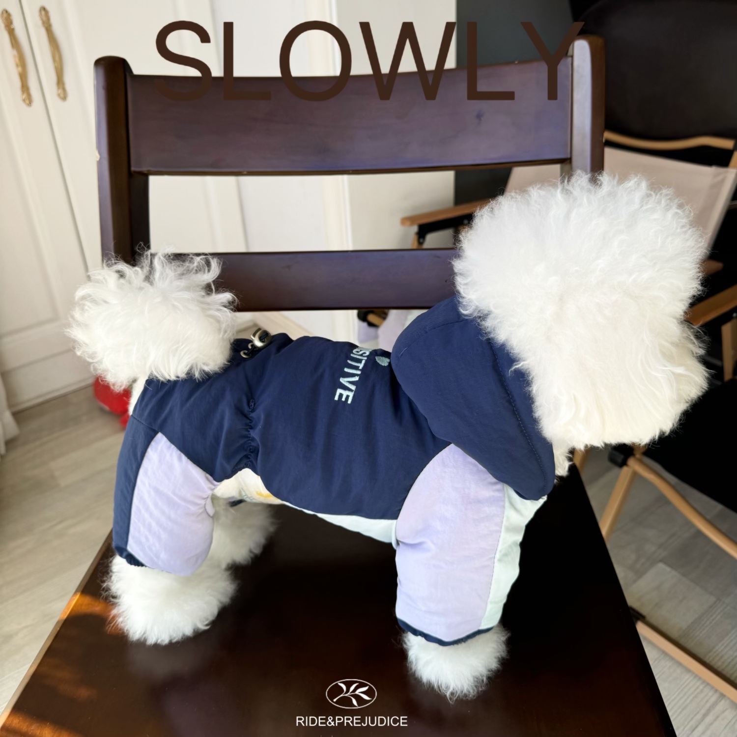 趣派狗狗秋冬厚款束脚防寒四腿牵引棉衣