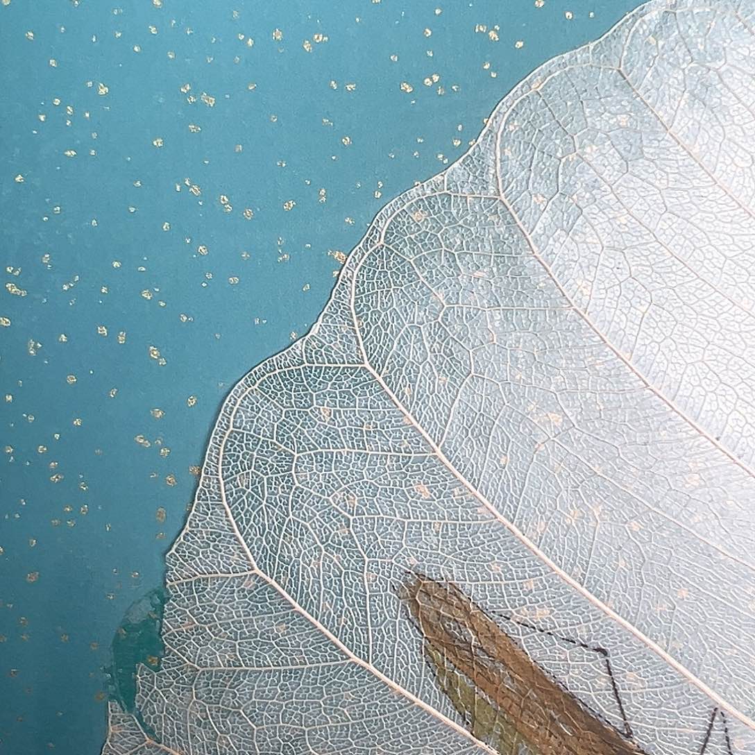 泰*已经安排好了的哈