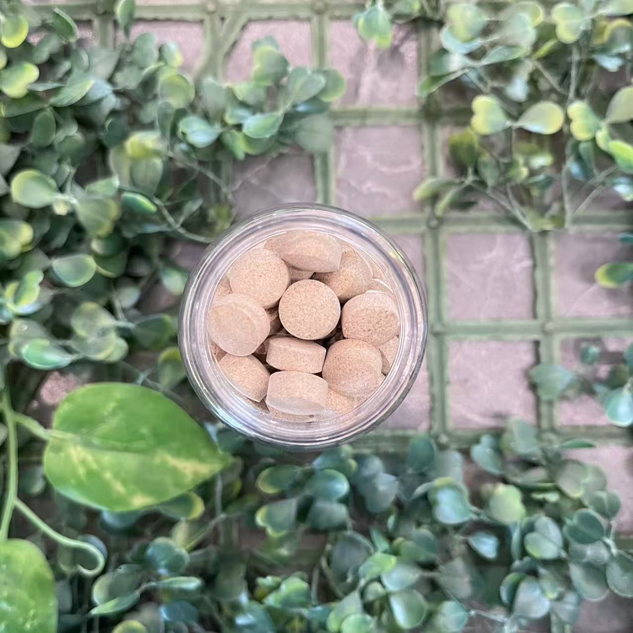 雨腾古茶 北X和“ 百日K 慢K ”J华 绝S 60g/罐（12月25）