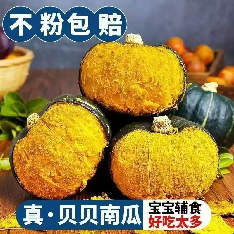【沙地贝贝】产地直发贝贝南瓜粉糯香甜板栗味适合宝宝辅食