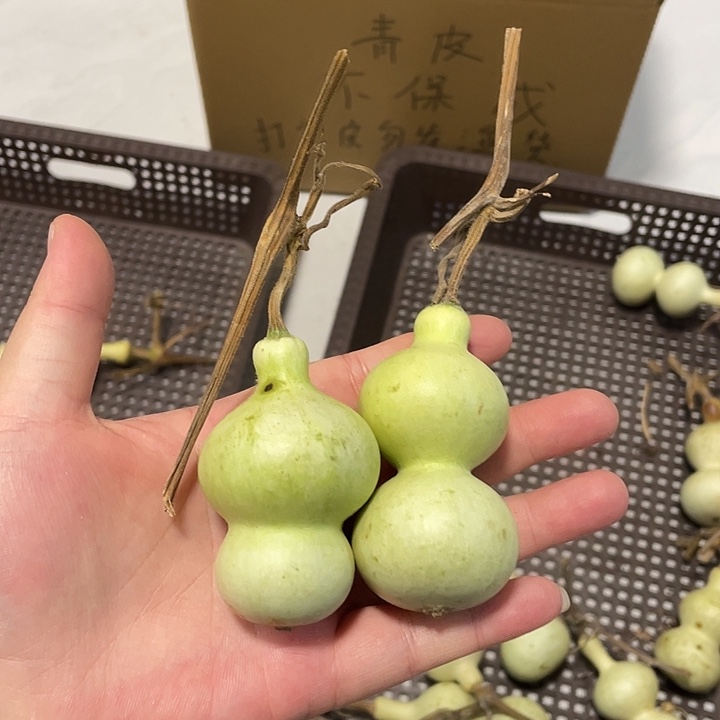 阿***友感谢大哥支持不保成