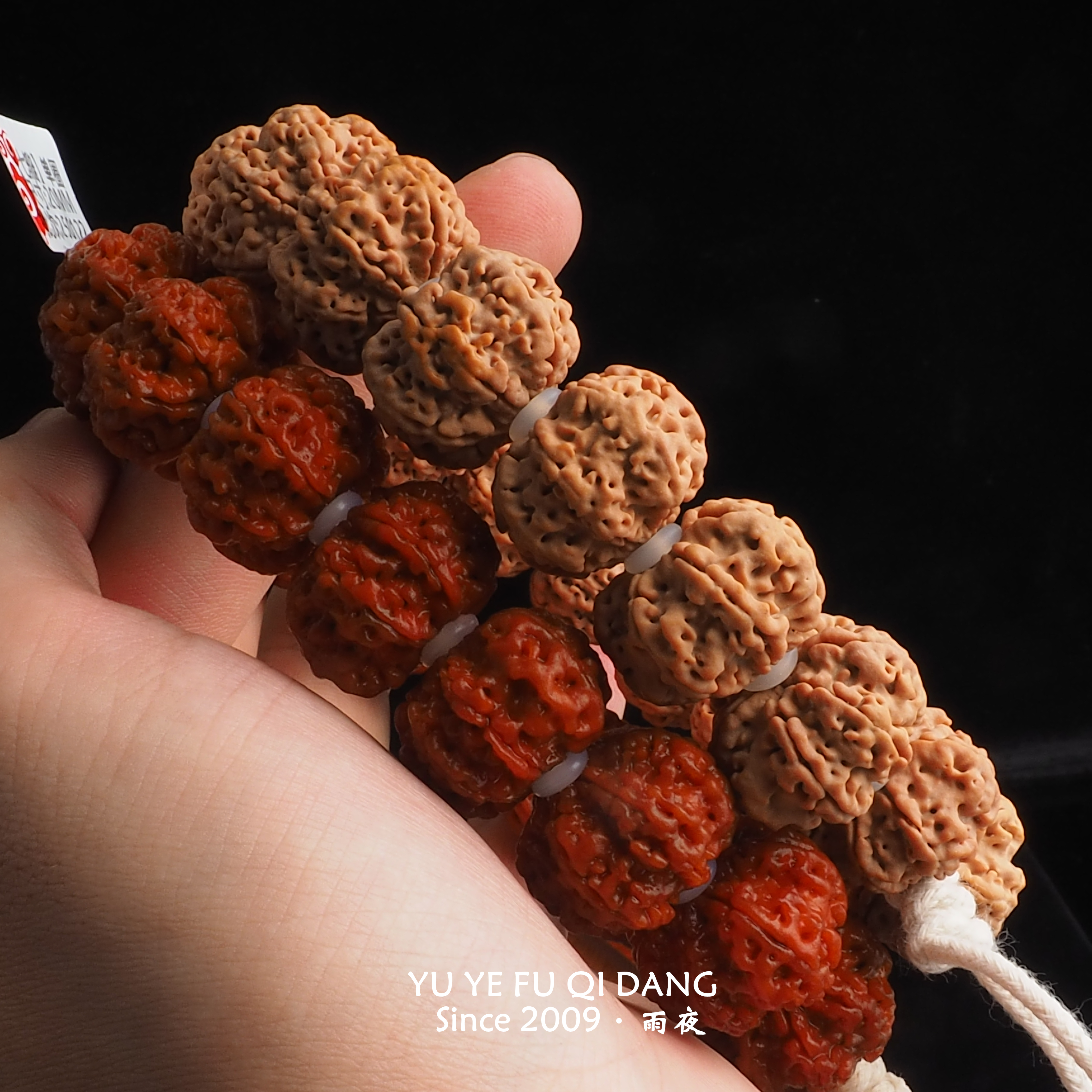 【传奇●雪域●雪花扇面】不打药原生态尼泊尔经典老款树种大金刚单圈