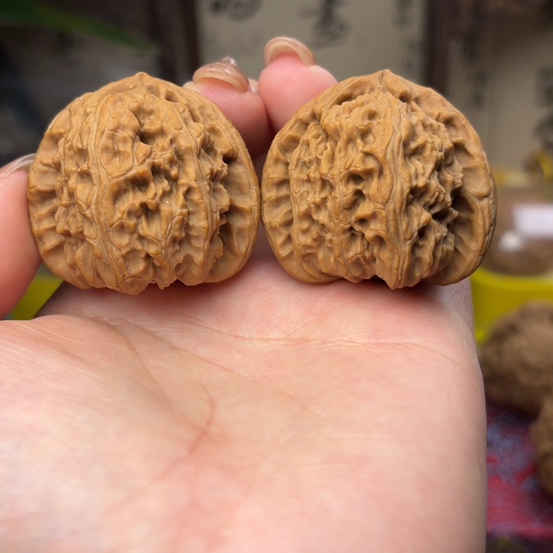 白狮子头三十九尺