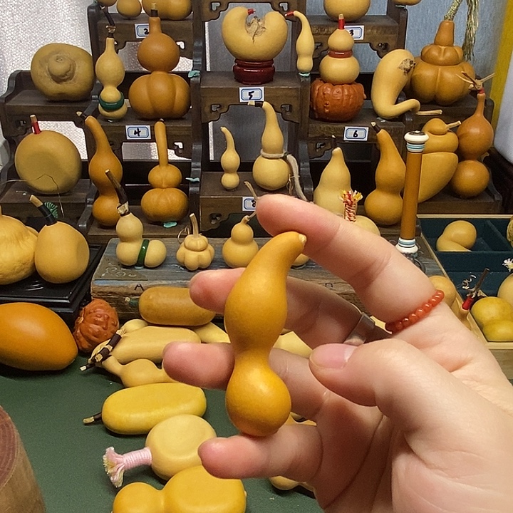 本捻老皮葫芦厚皮