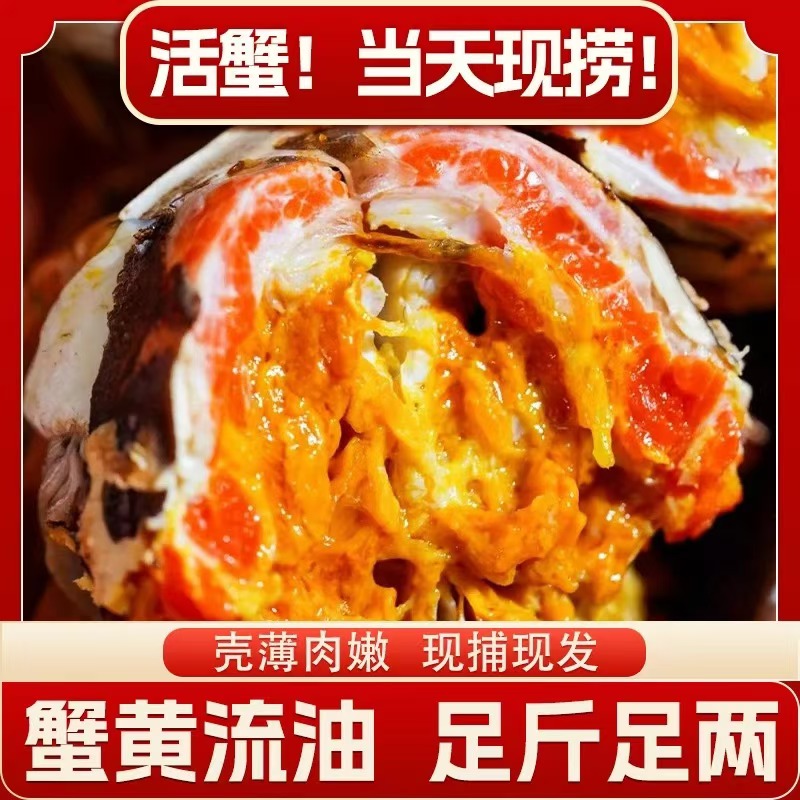 【活蟹】精品大闸蟹母蟹4.0-3.7两10只螃蟹礼盒AKN04