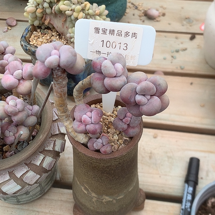 落***风013咯破上就来咯咯摸摸弄