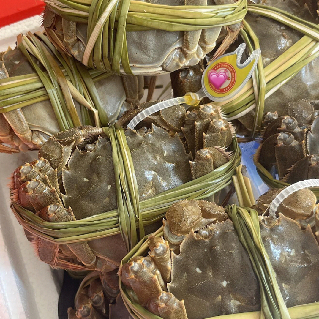 鲜活江苏大大闸蟹 2两母蟹6只