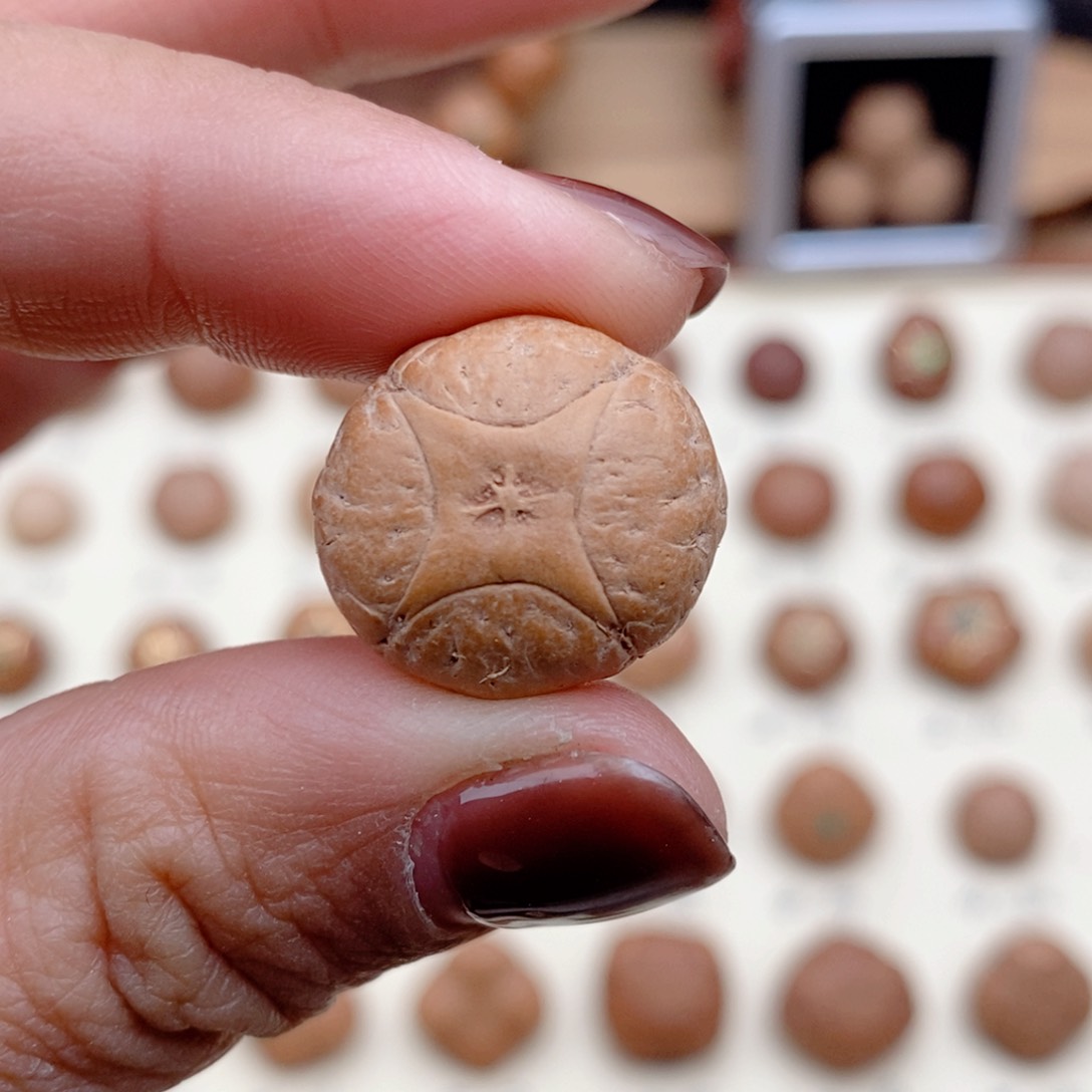 龙眼菩提吊坠麒麟