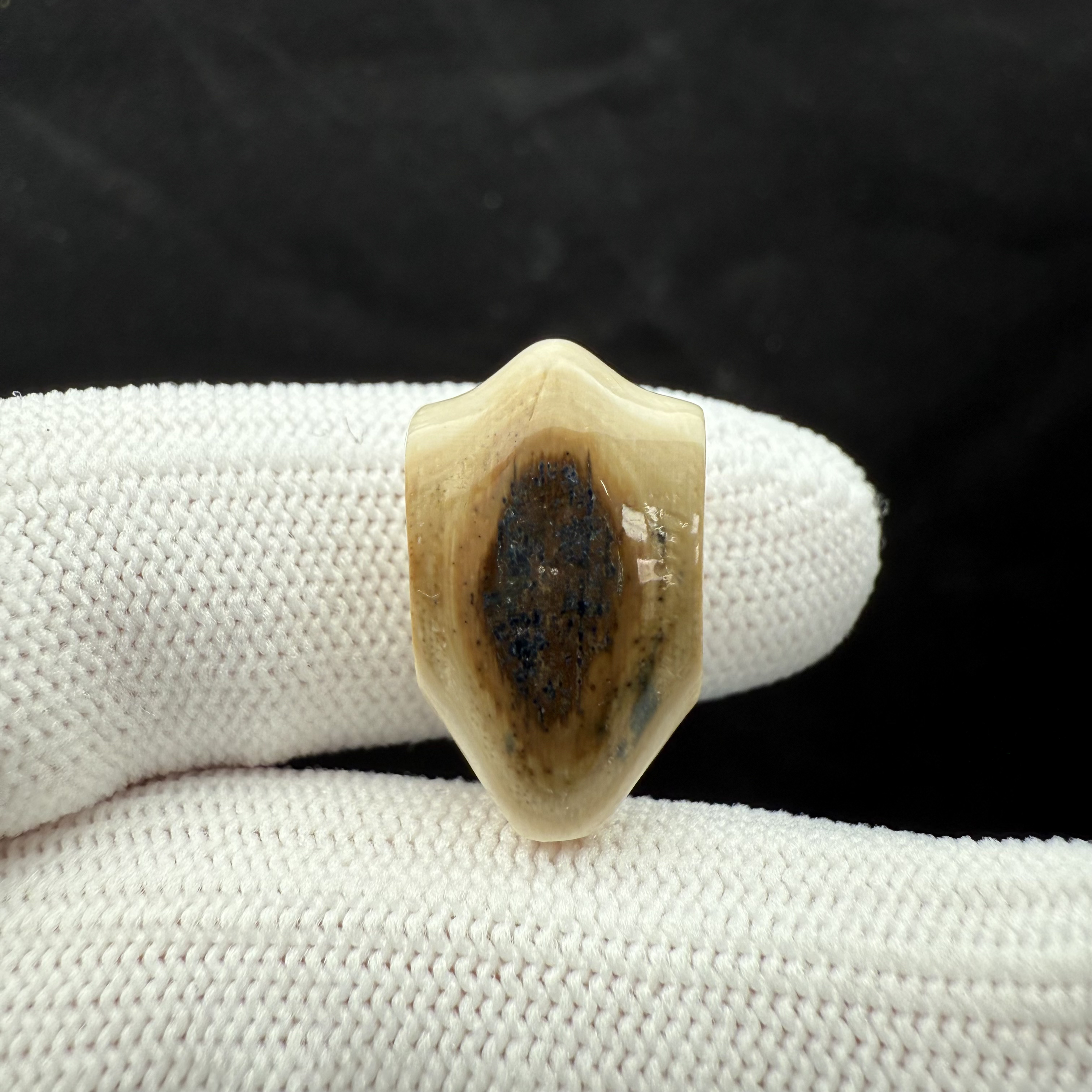 K2361 天然猛犸 蓝眼睛三通 11.5*19.6mm 一物一图假一罚十