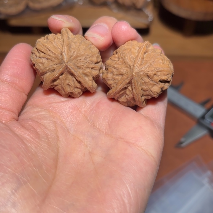 核桃门头沟元宝三棱异形