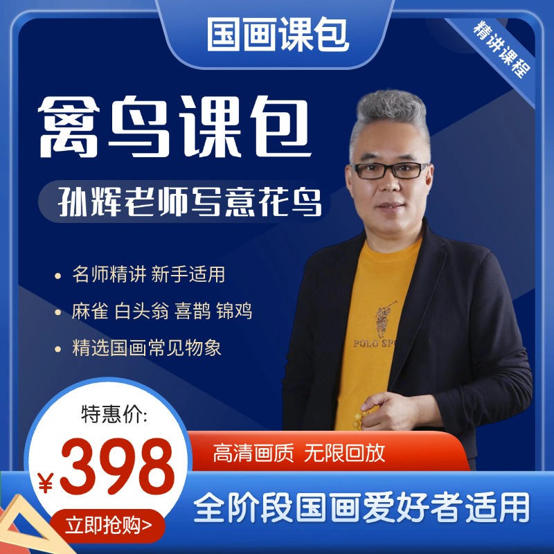 孙辉老师写意禽鸟课包写意花鸟国画课程