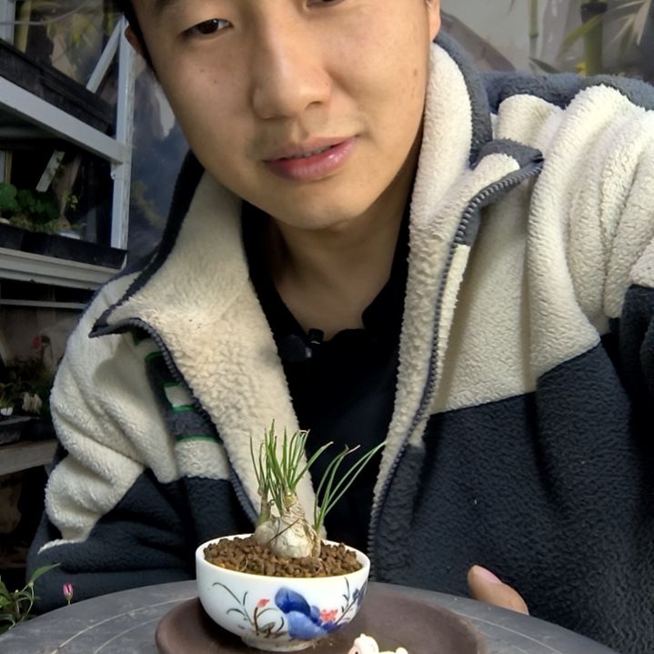 用****9中青园艺一物一拍69