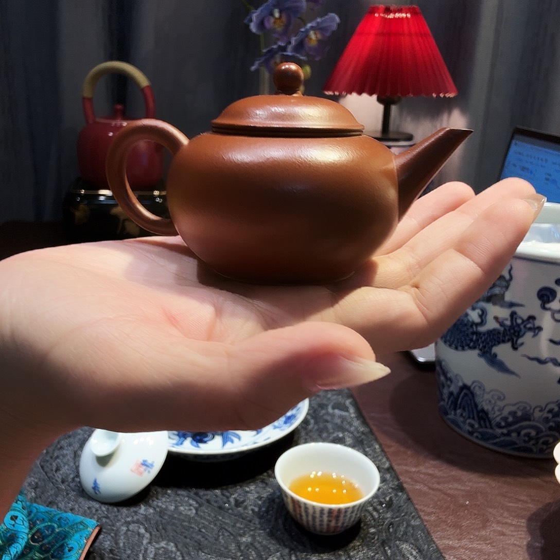 茶壶紫砂哈哈哈哈哈哈哈哈哈哈