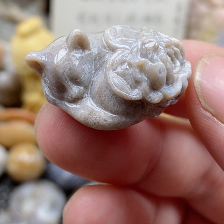 颈饰未镶嵌硅化珊瑚（珊瑚玉）没打孔 小