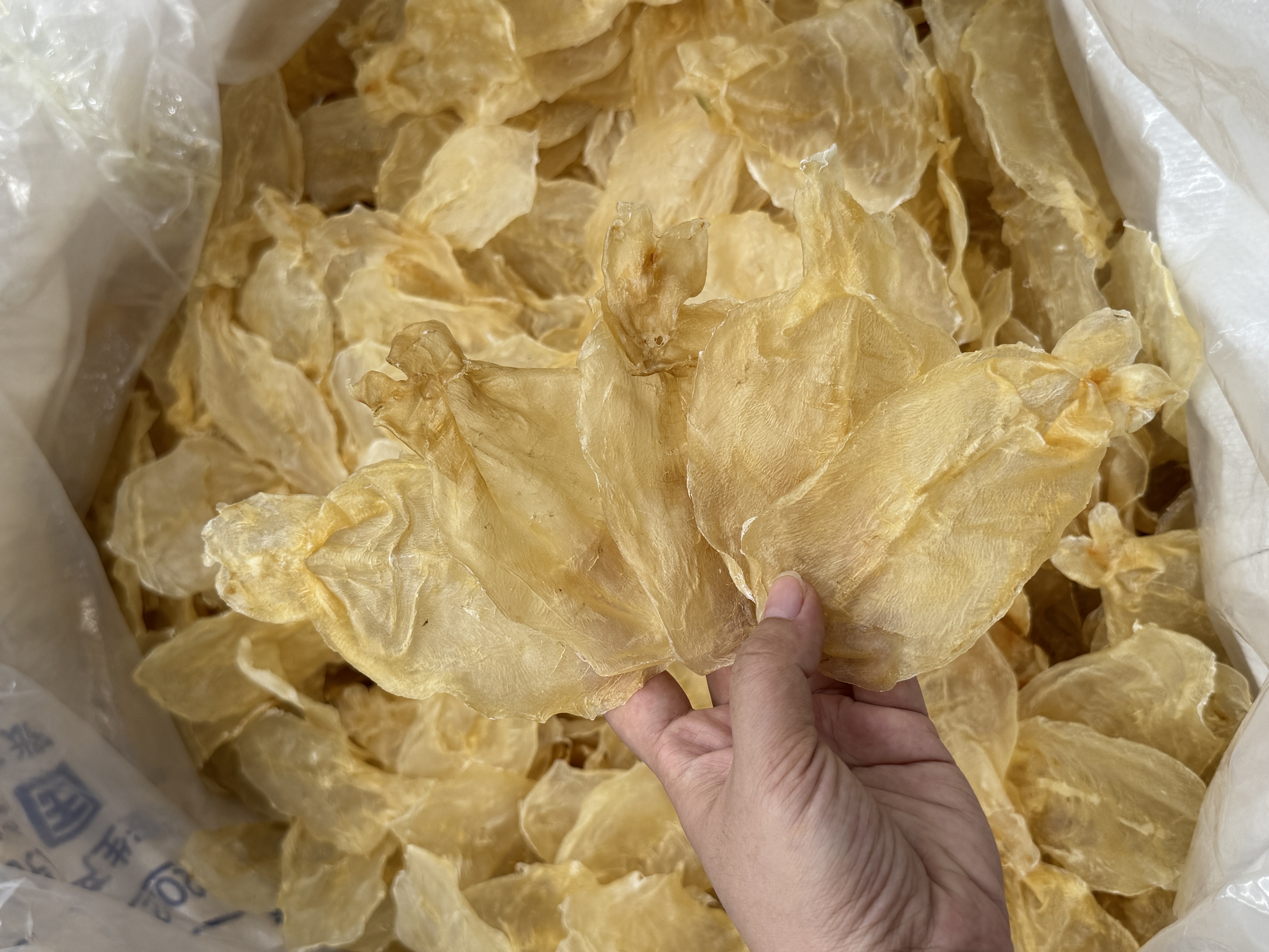 甲肚胶   深海干货正品鱼胶孕产术后高品质花胶1-500克