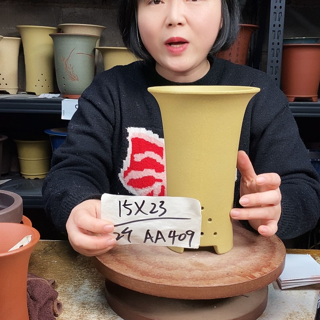 紫砂2花盆货号AA409