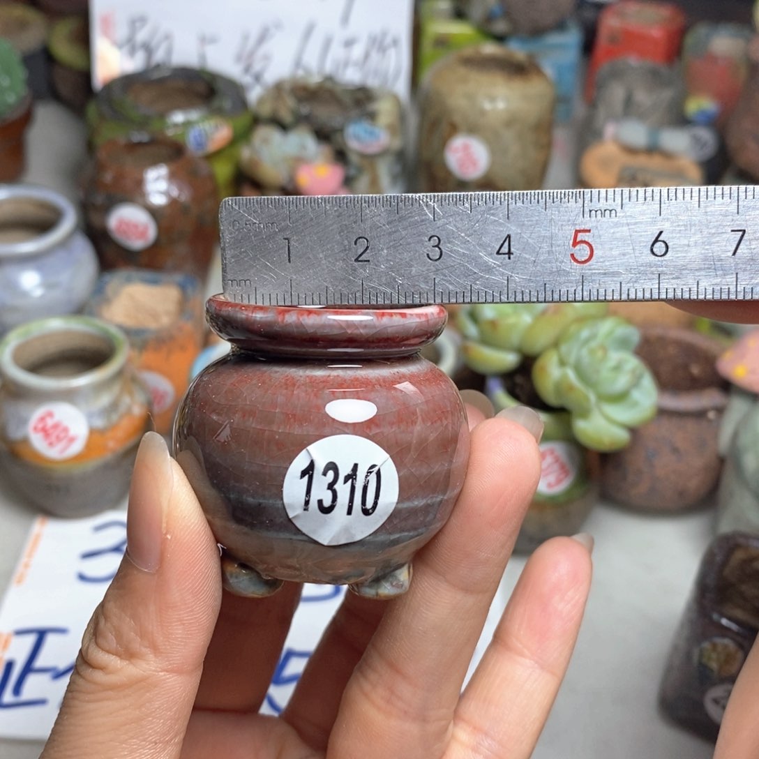 拍5送一个小礼物