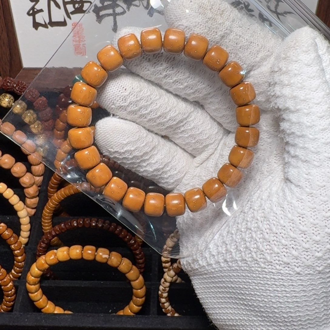 手串紫金鼠黄金甲毕业