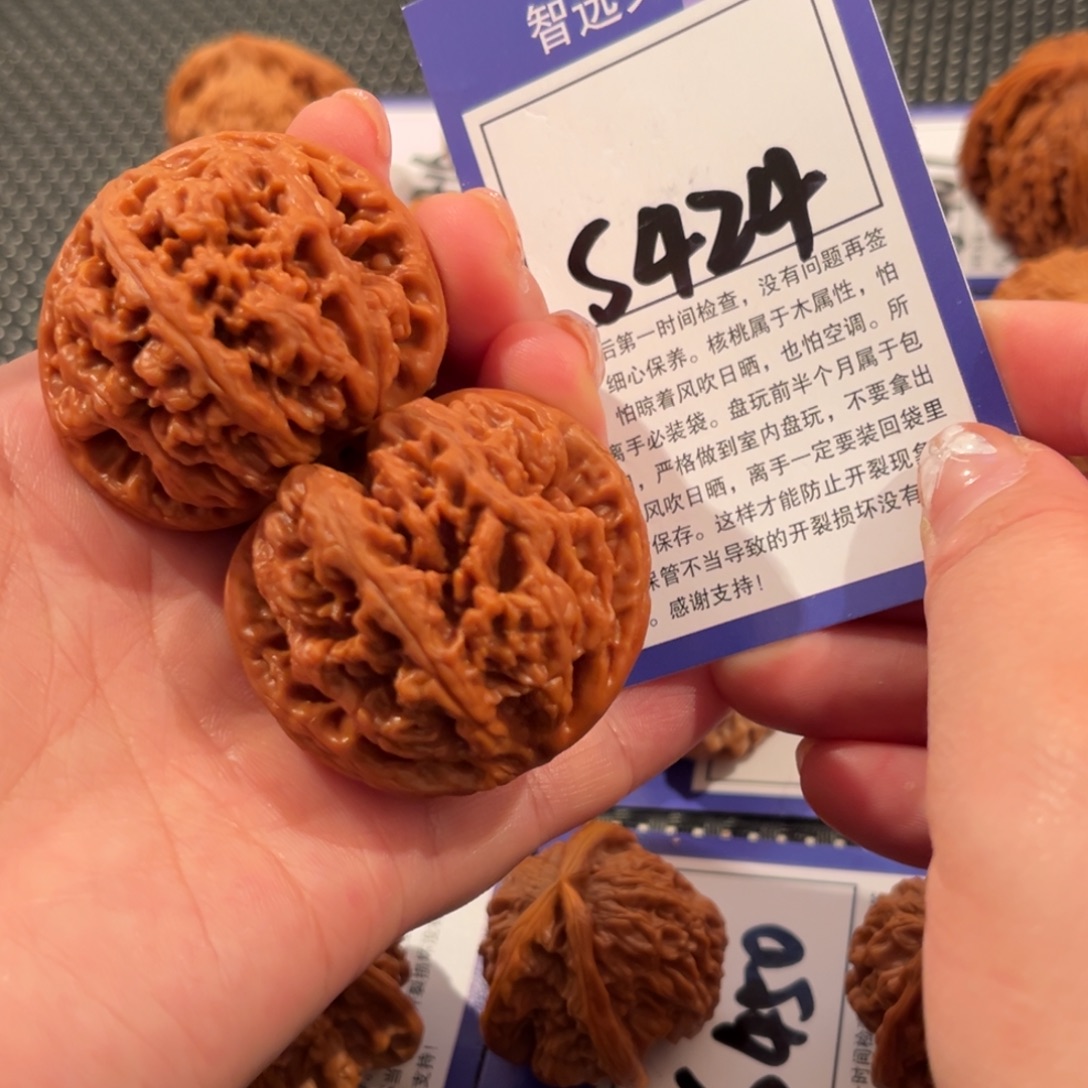 核桃S424号粗筋44尺