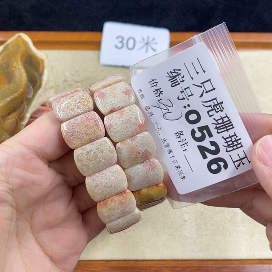 硅化珊瑚（珊瑚玉）1未镶嵌霄**乖