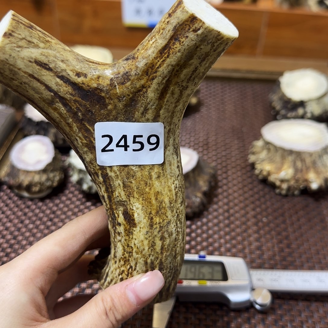 鹿骨手串/手链弹弓2459