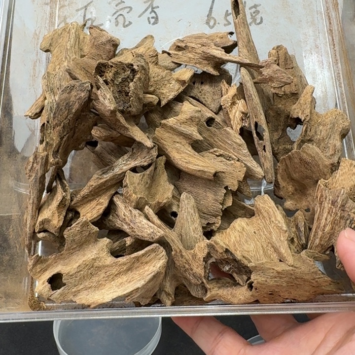 水***白海南土沉虫漏100克