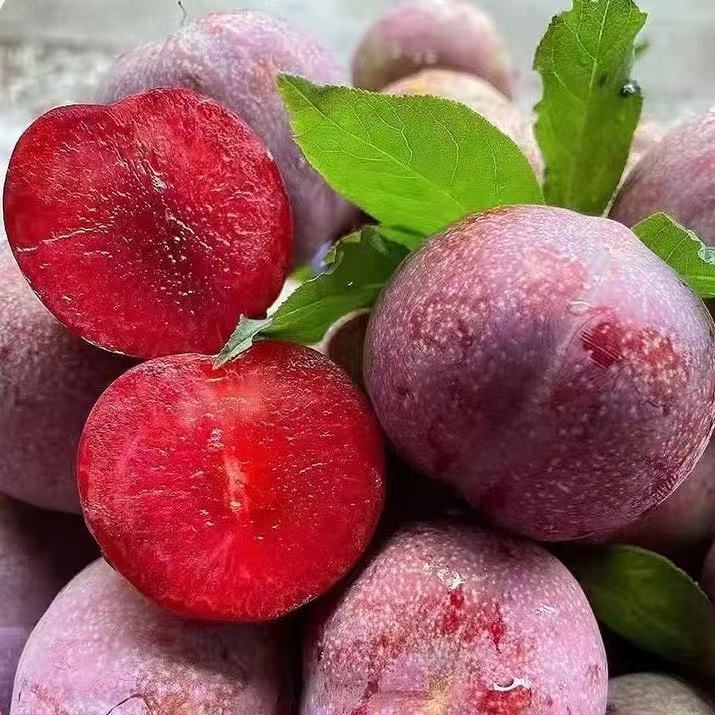 正宗产地红心三华李新鲜现摘孕妇水果酸甜脆口5斤